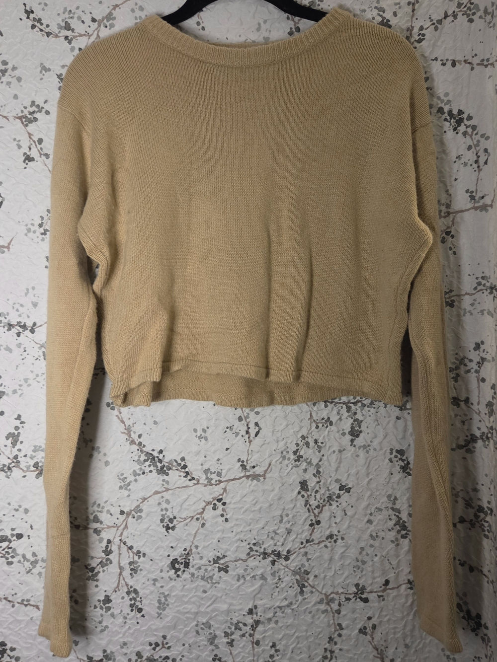 Brandy Melville Cropped Knit Long-Sleeve Top in Beige